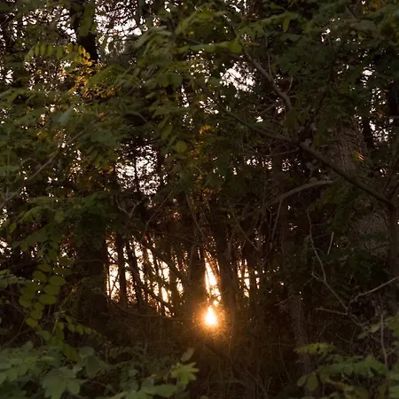 Medusa ホテル プンタ・マリーナ