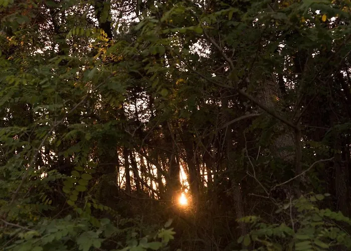 Medusa Hotel Punta Marina